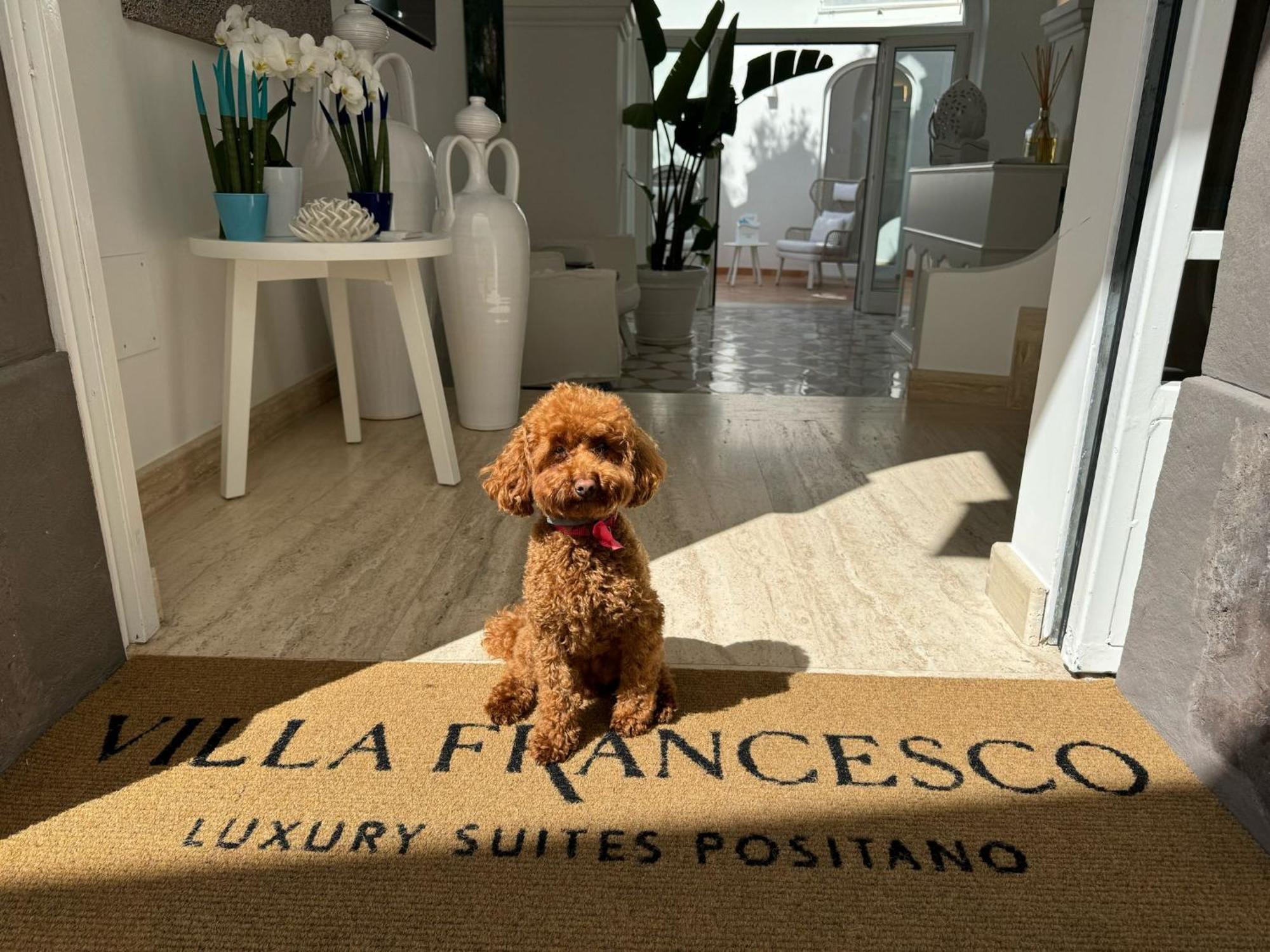 Villa Francesco Luxury Suites โปซิตาโน ภายนอก รูปภาพ